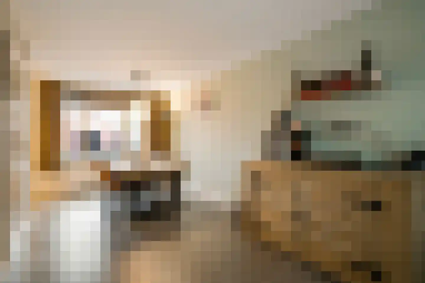 Averbodeplein 18 Horst thumbnail 17