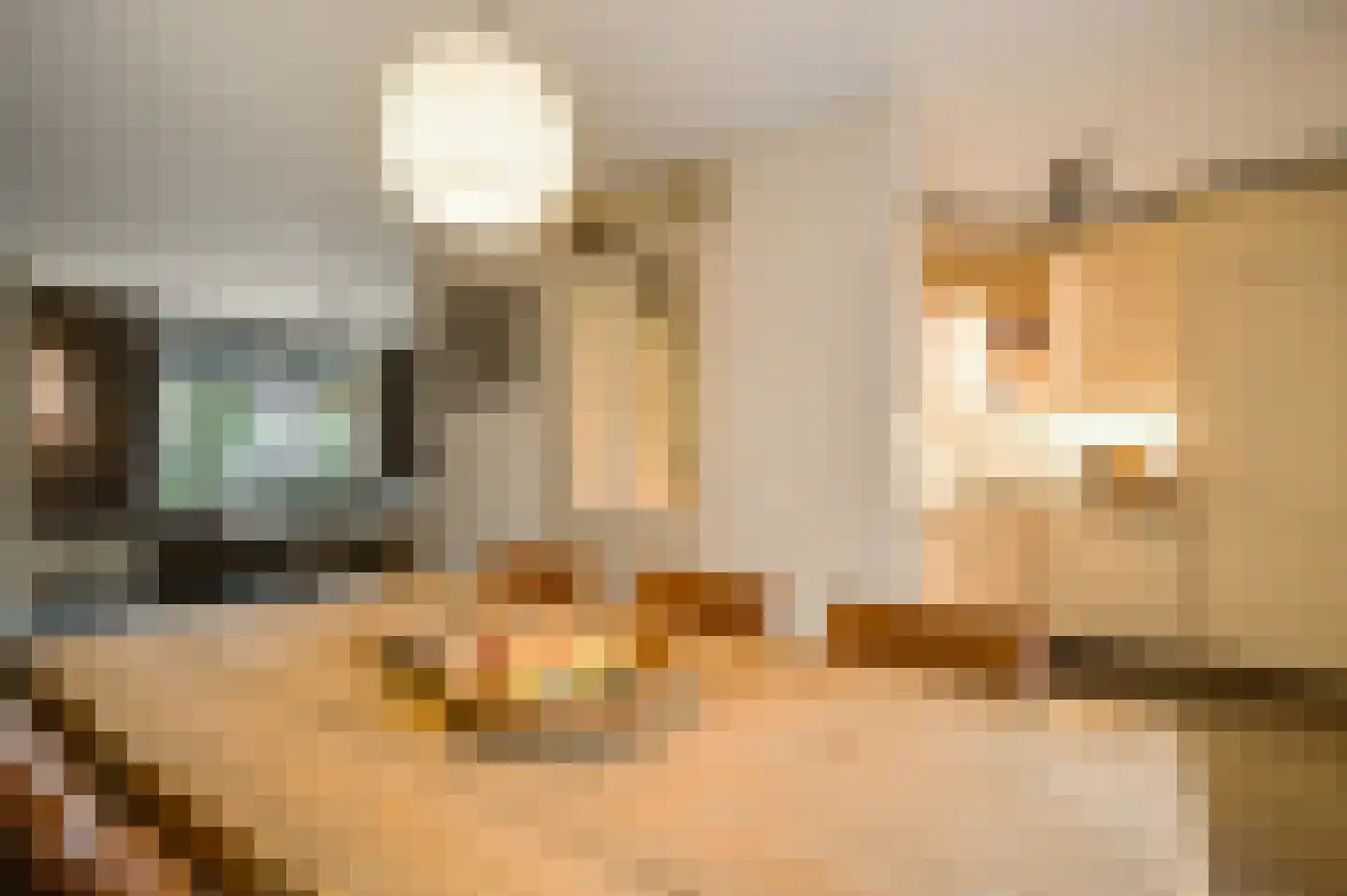 Averbodeplein 18 Horst thumbnail 19
