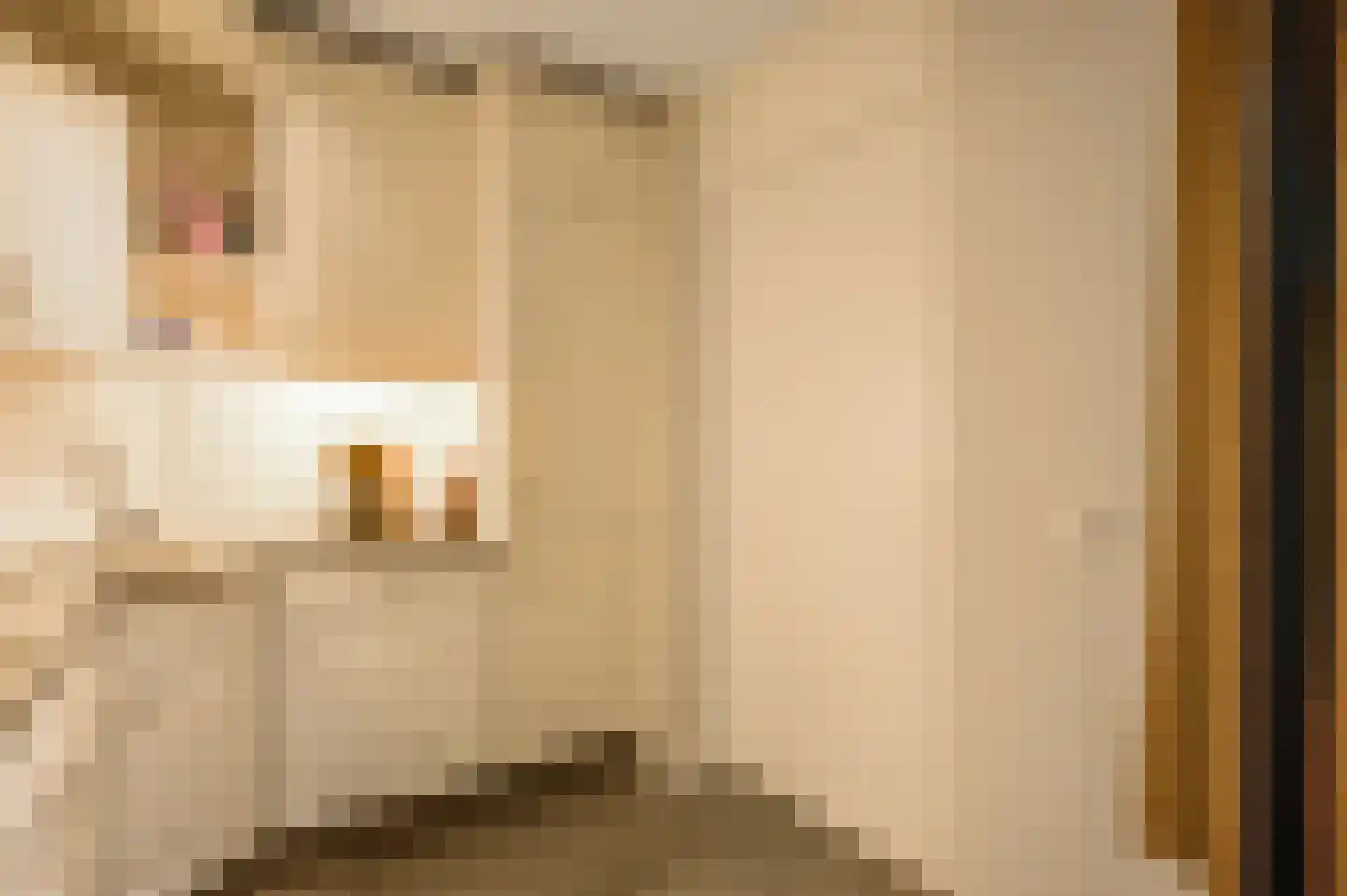 Averbodeplein 18 Horst thumbnail 21