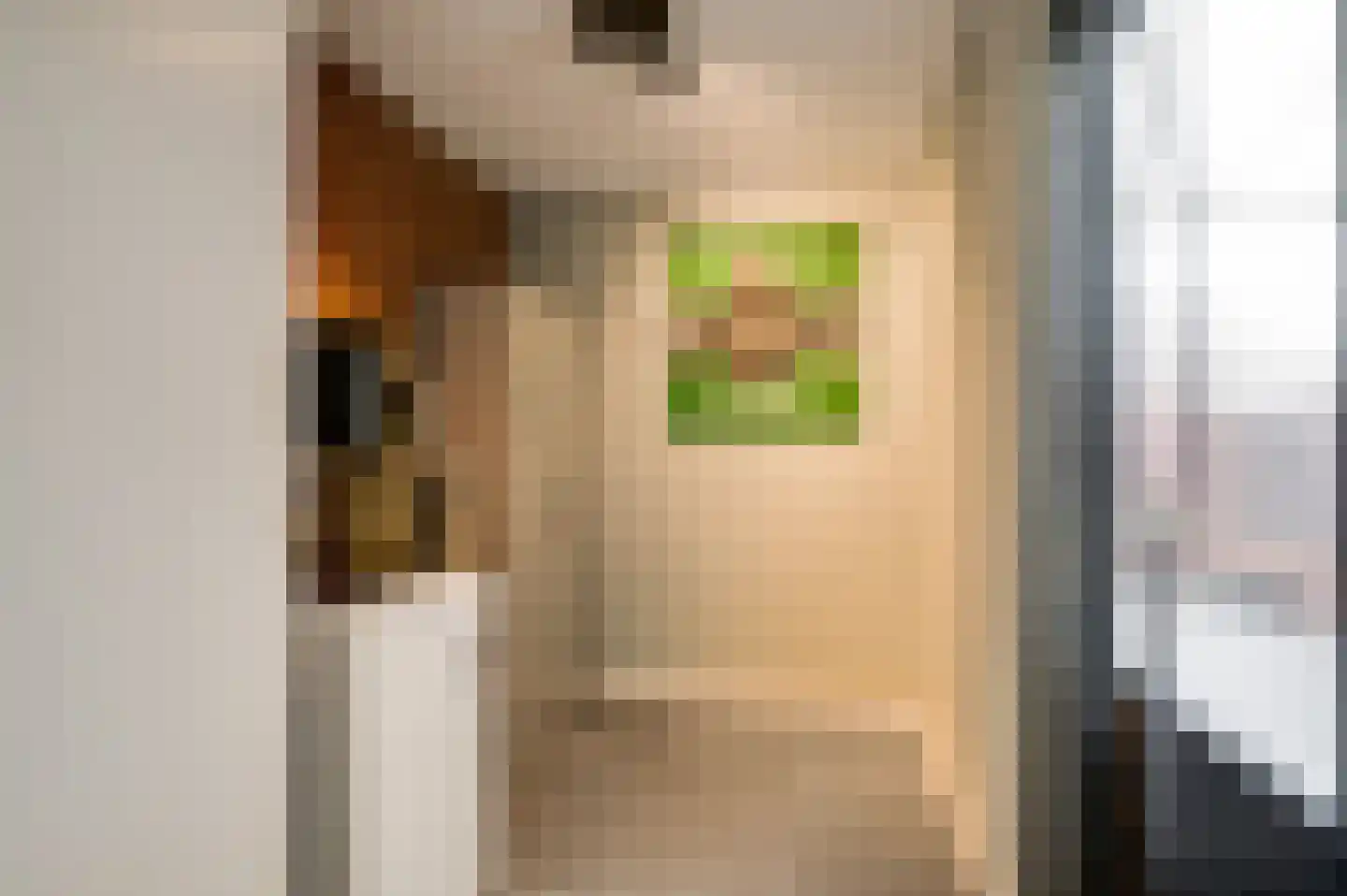 Averbodeplein 18 Horst thumbnail 26