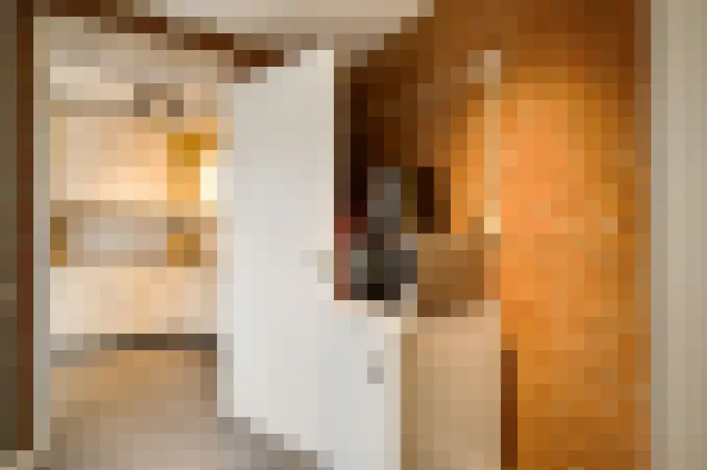 Averbodeplein 18 Horst thumbnail 27