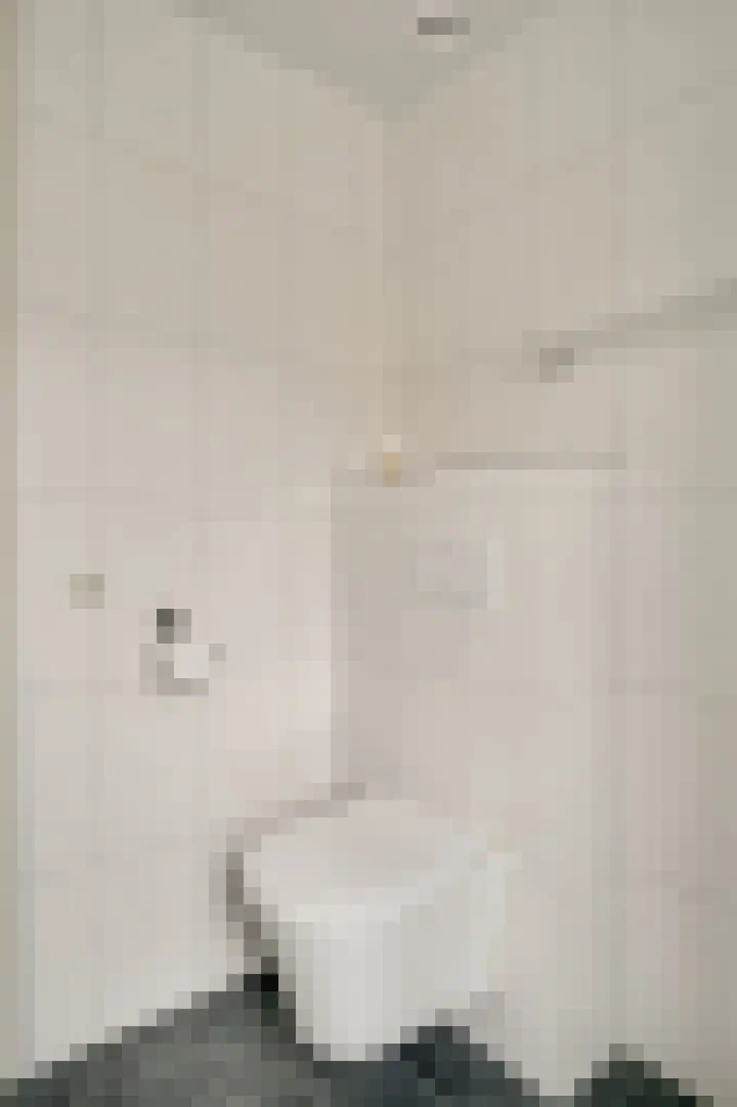 Averbodeplein 18 Horst thumbnail 38