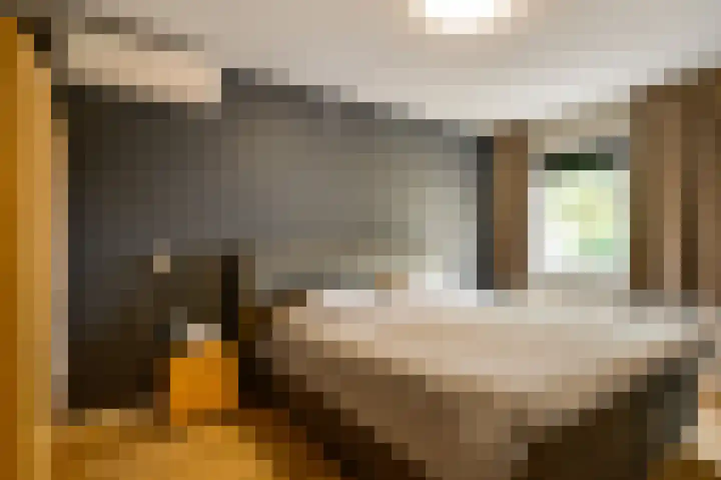 Averbodeplein 18 Horst thumbnail 4