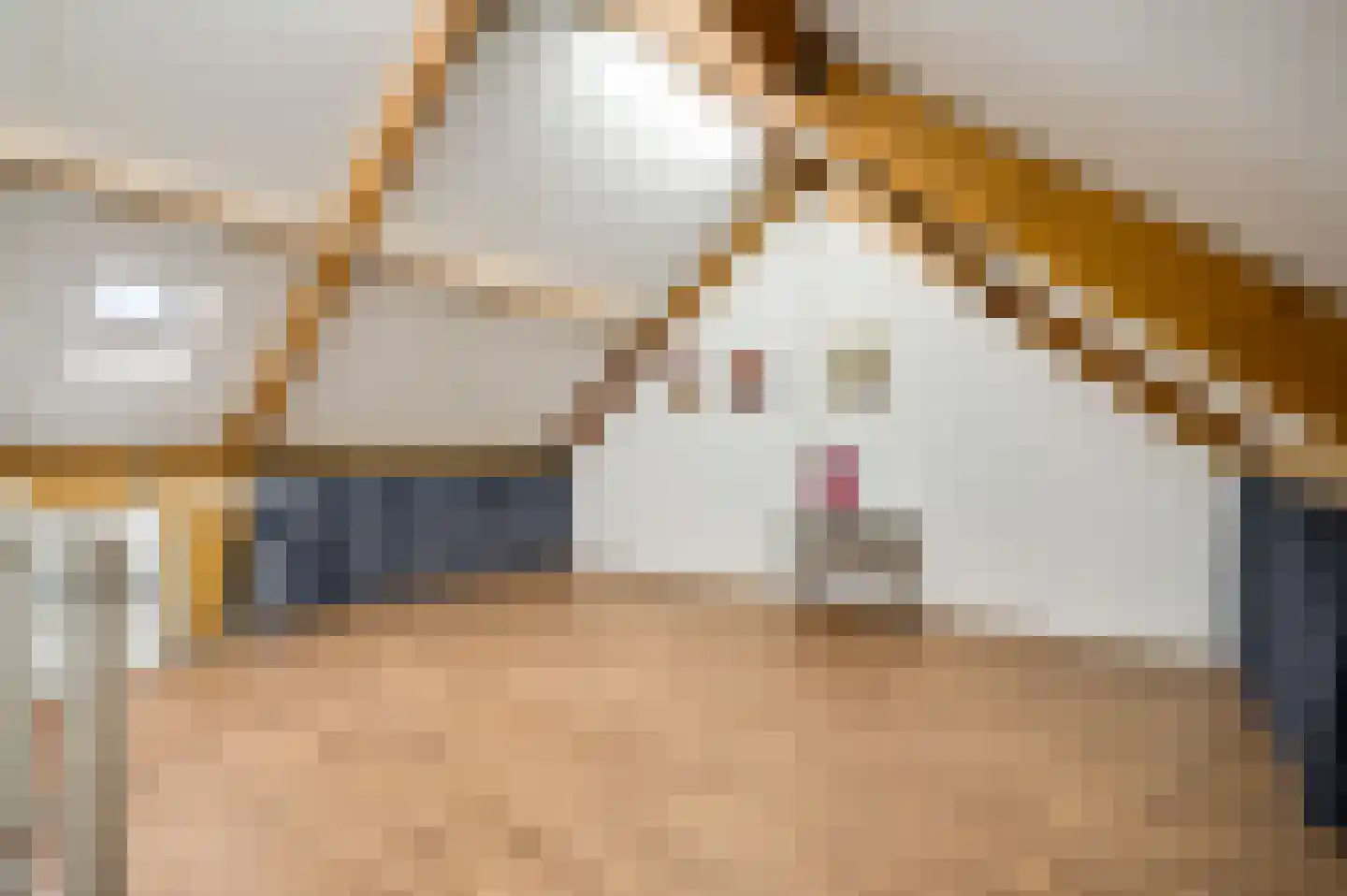 Averbodeplein 18 Horst thumbnail 44