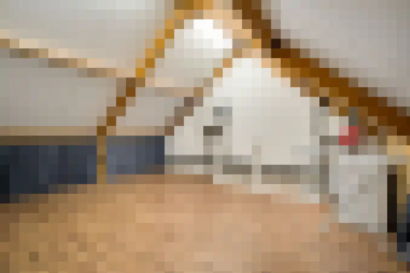 Averbodeplein 18 Horst thumbnail 45