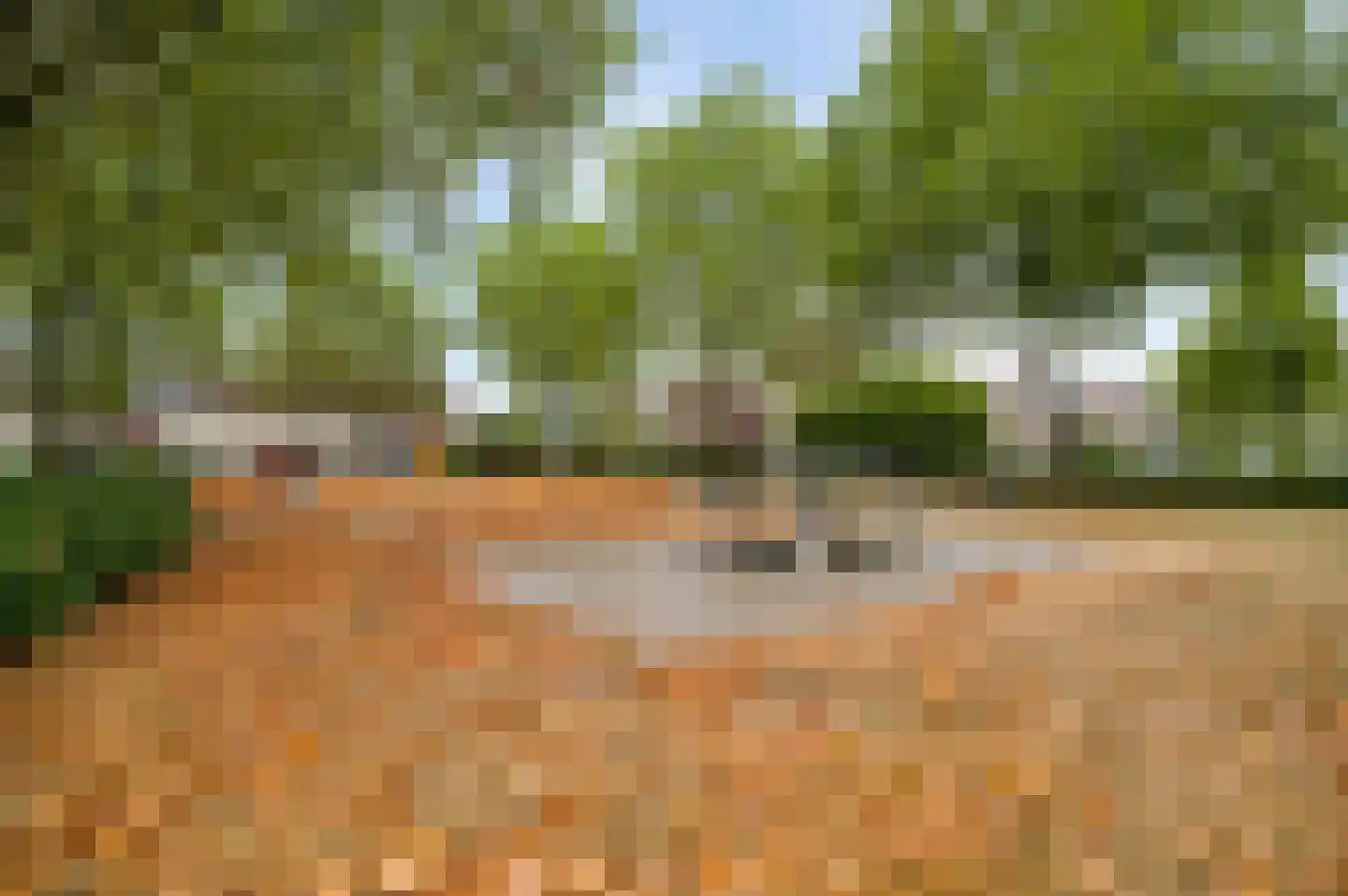 Averbodeplein 18 Horst thumbnail 9