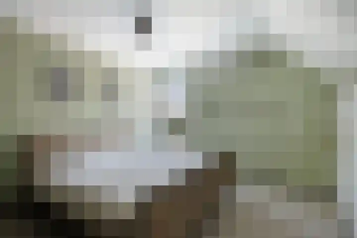 Averbodestraat 25 Helden thumbnail 26