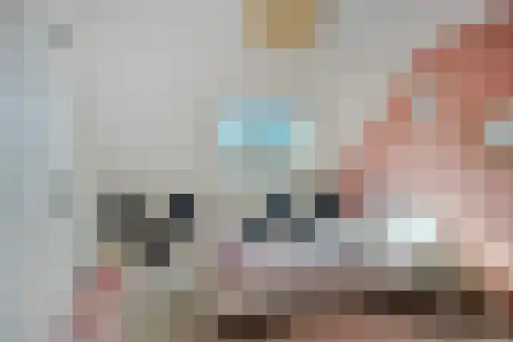 Averbodestraat 25 Helden thumbnail 31