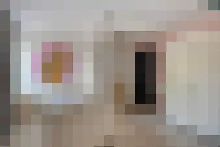 Averbodestraat 25 Helden thumbnail 33