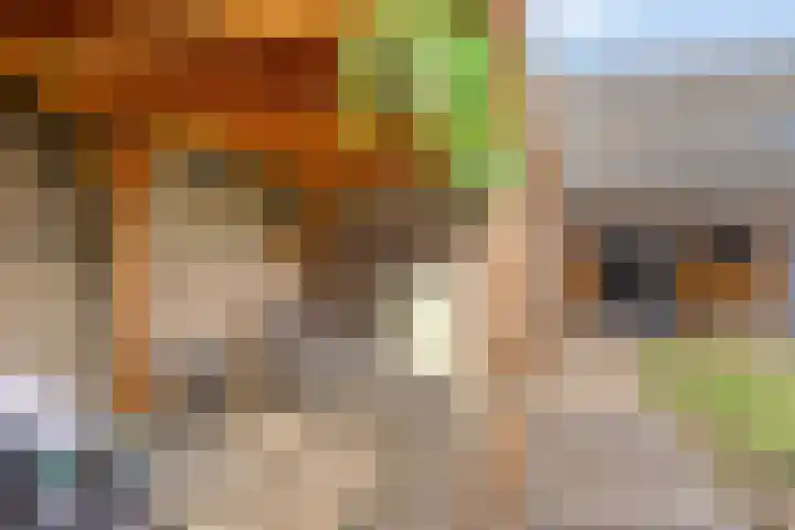 Averbodestraat 25 Helden thumbnail 38