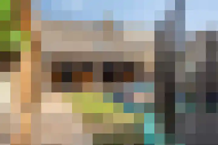 Averbodestraat 25 Helden thumbnail 40