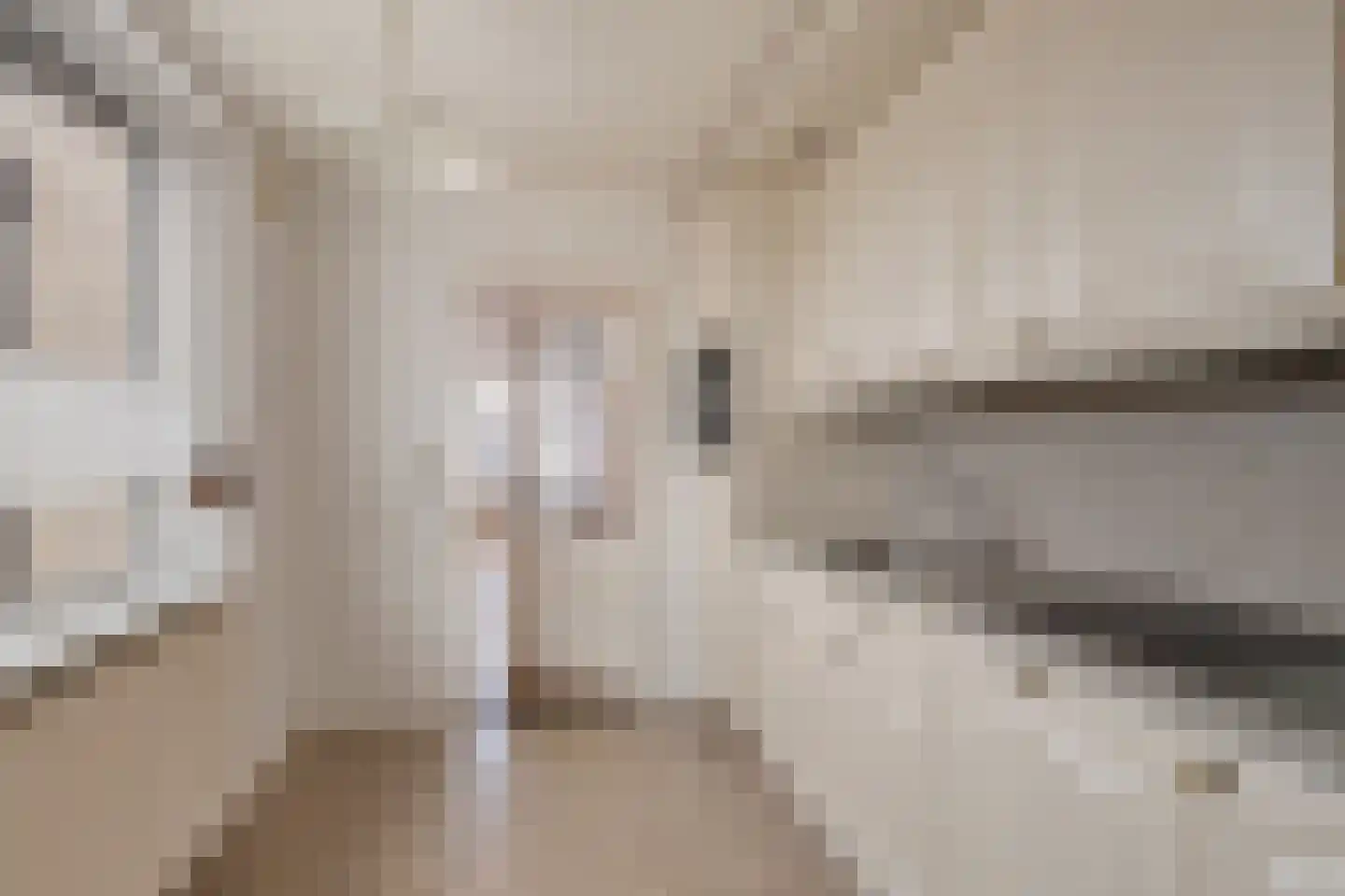 Averbodestraat 32 Helden thumbnail 14