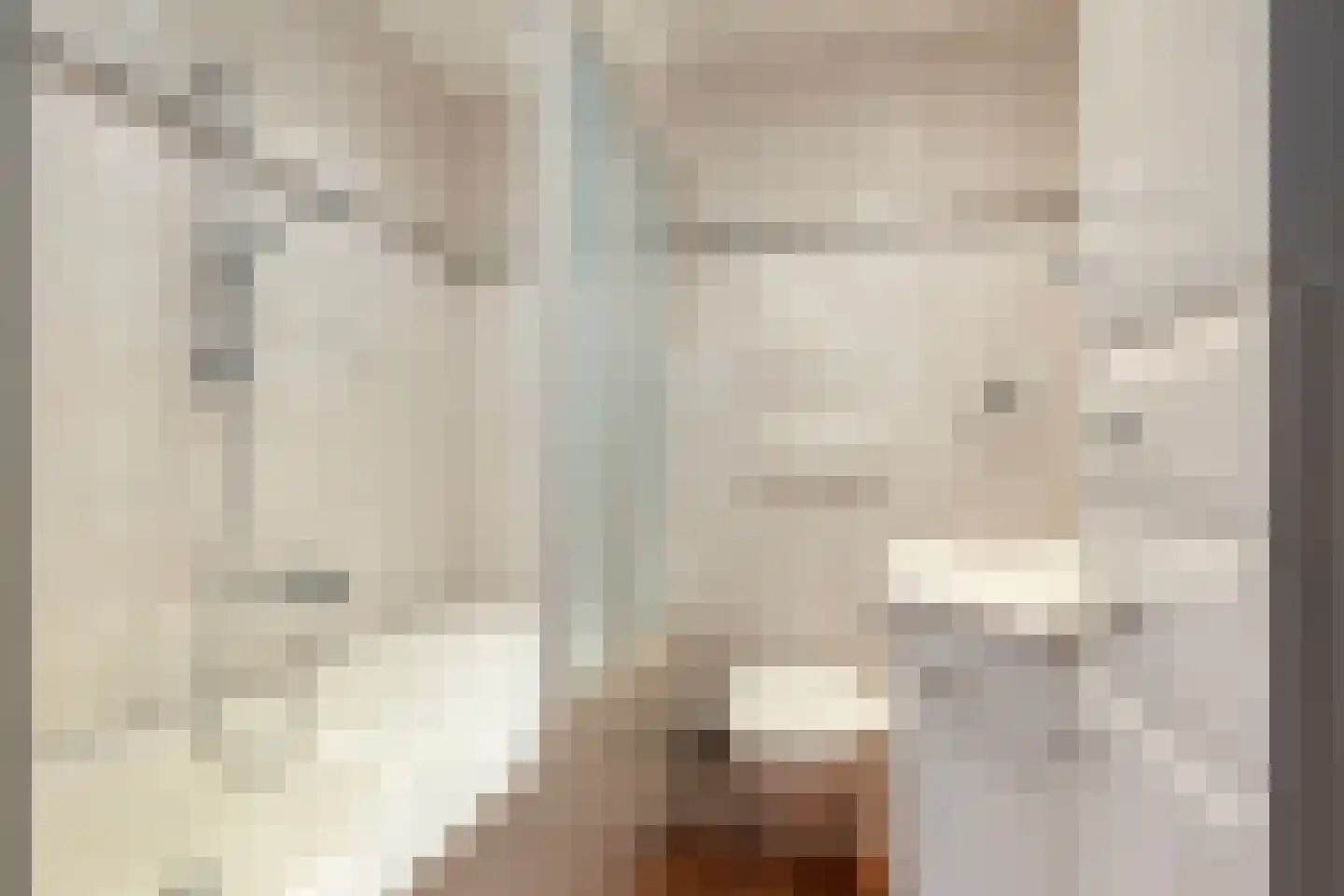 Averbodestraat 32 Helden thumbnail 23