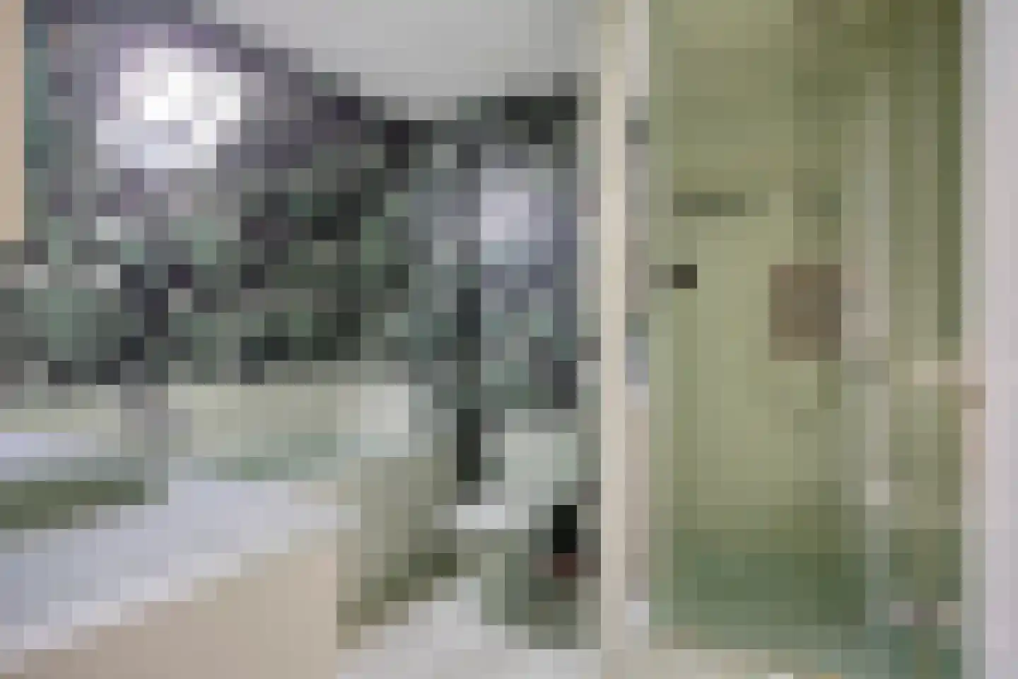 Averbodestraat 33 Helden thumbnail 20