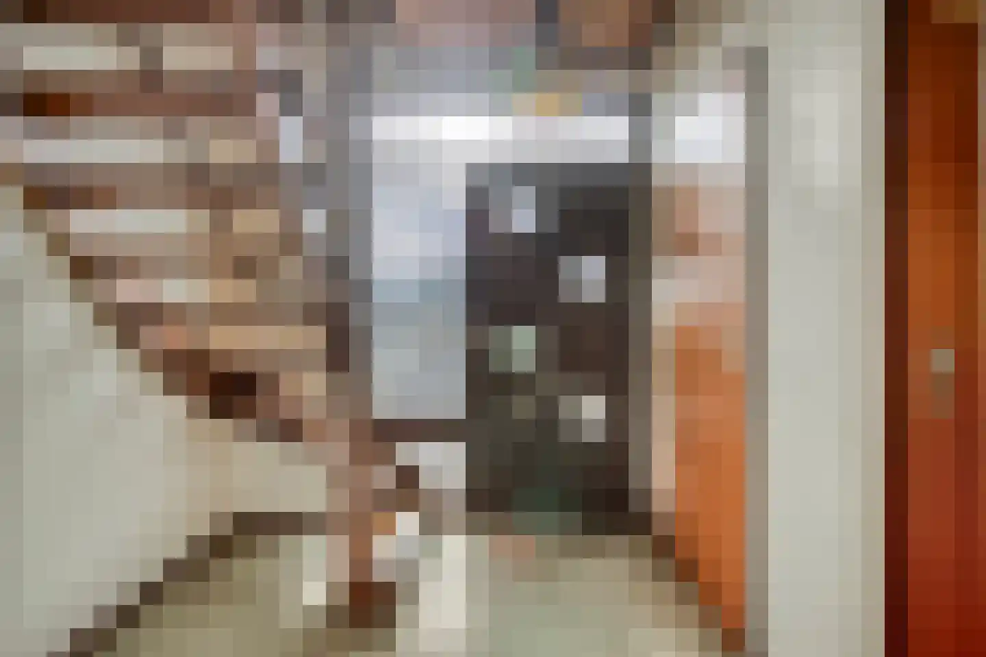 Averbodestraat 33 Helden thumbnail 7
