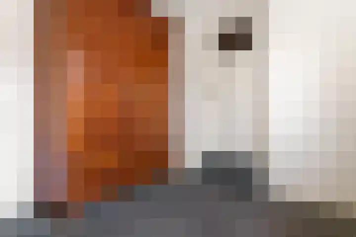 Averbodestraat 62 Venlo thumbnail 31