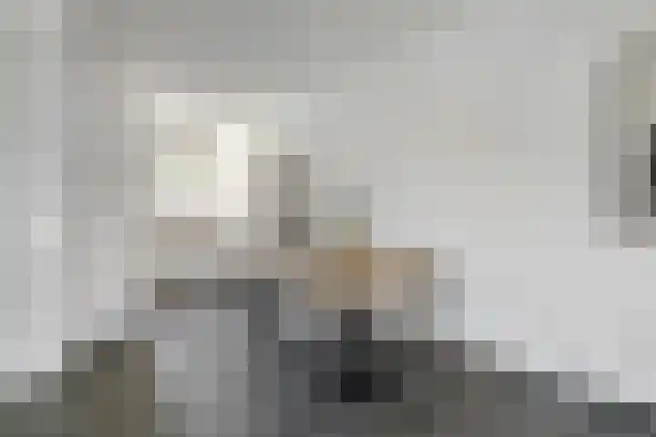 Averbodeweg 4 d Sterksel thumbnail 13