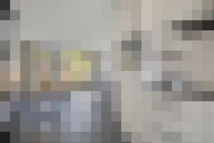 Averbodeweg 4 d Sterksel thumbnail 14