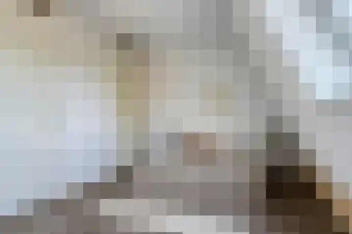 Averbodeweg 4 d Sterksel thumbnail 18