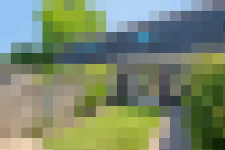 Averbodeweg 4 d Sterksel thumbnail 35