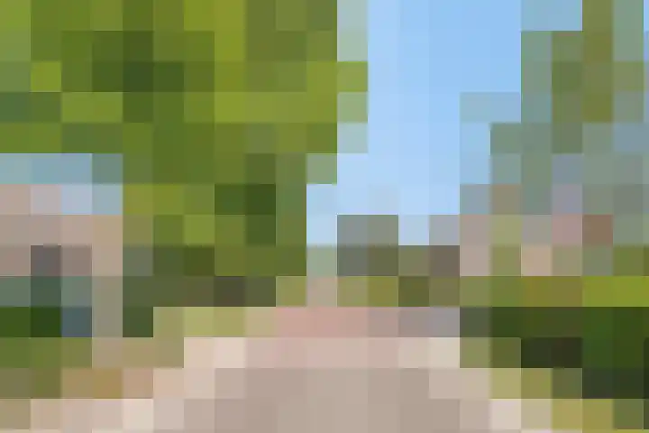 Averbodeweg 4 d Sterksel thumbnail 37