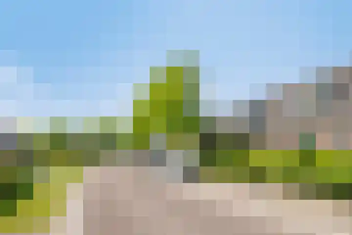 Averbodeweg 4 d Sterksel thumbnail 38