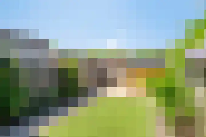 Averbodeweg 4 d Sterksel thumbnail 6