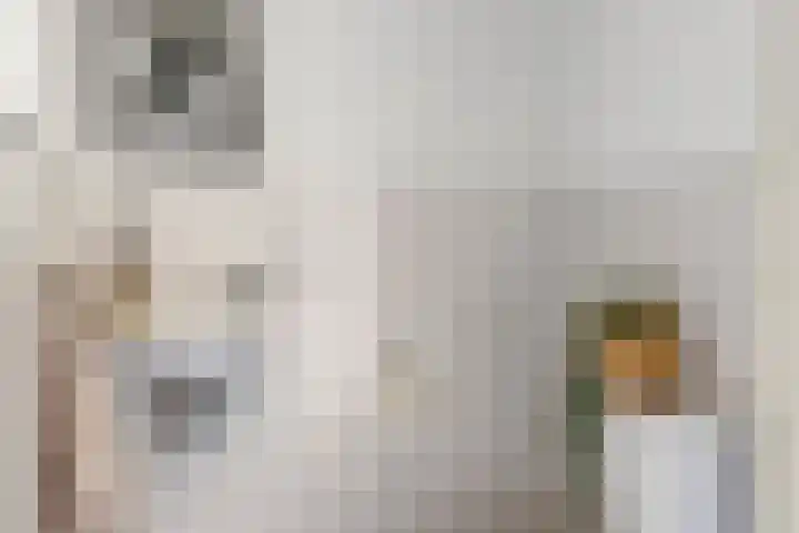 Averbodeweg 4 d Sterksel thumbnail 8