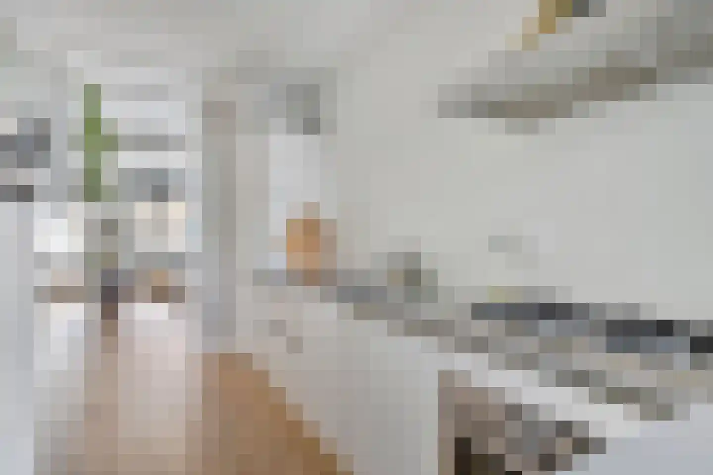 Avercampstraat 10 Amsterdam thumbnail 14