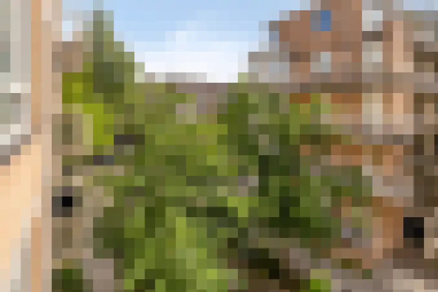 Avercampstraat 10 Amsterdam thumbnail 23