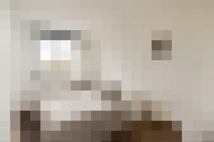 Avercampstraat 17 Amsterdam thumbnail 21