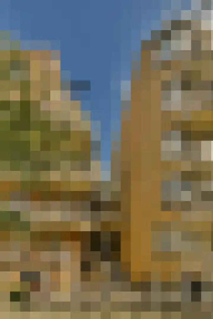 Avercampstraat 17 Amsterdam thumbnail 27