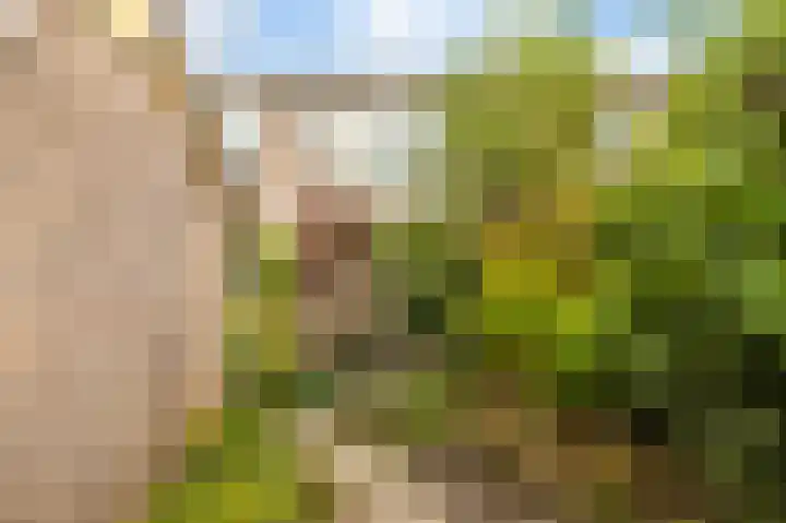 Avercampstraat 23 Ede thumbnail 22