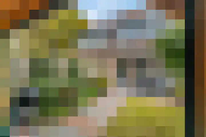 Avercampstraat 4 Ede thumbnail 20