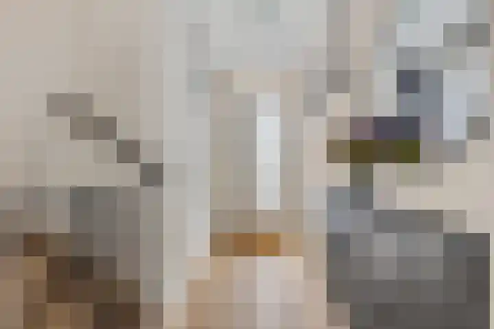 Avercampstraat 4 Ede thumbnail 6