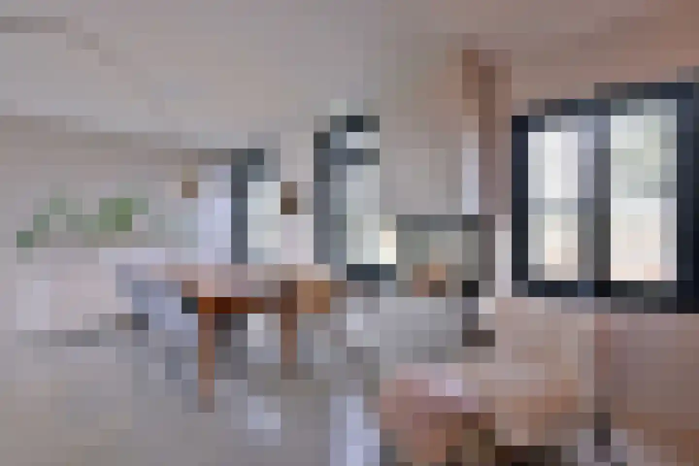 Avergoorsedijk 6 Schalkhaar thumbnail 18
