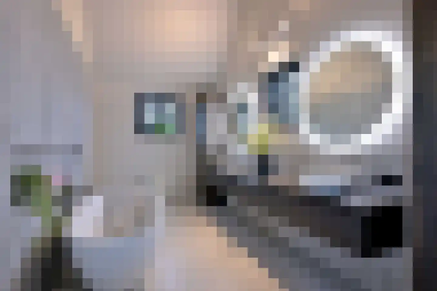 Avergoorsedijk 6 Schalkhaar thumbnail 22
