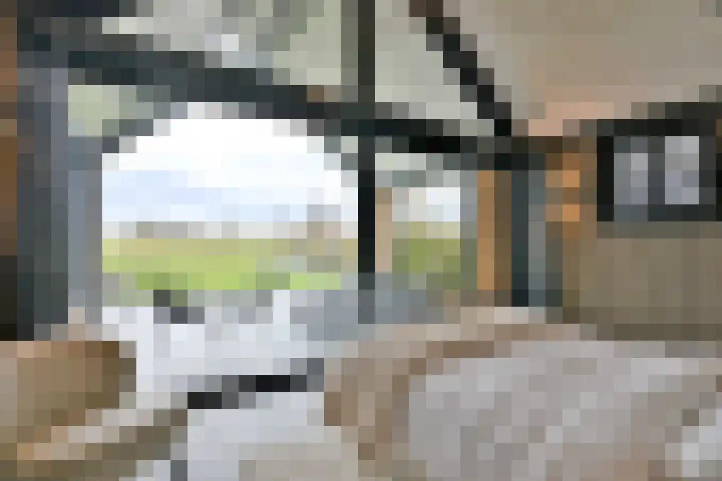 Avergoorsedijk 6 Schalkhaar thumbnail 24