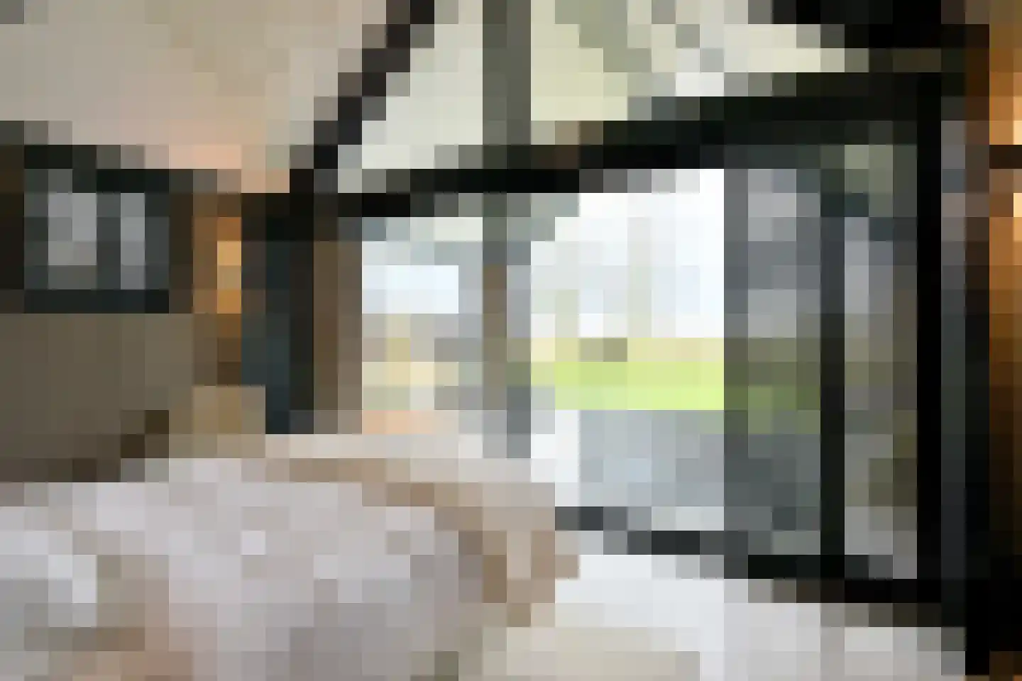 Avergoorsedijk 6 Schalkhaar thumbnail 27