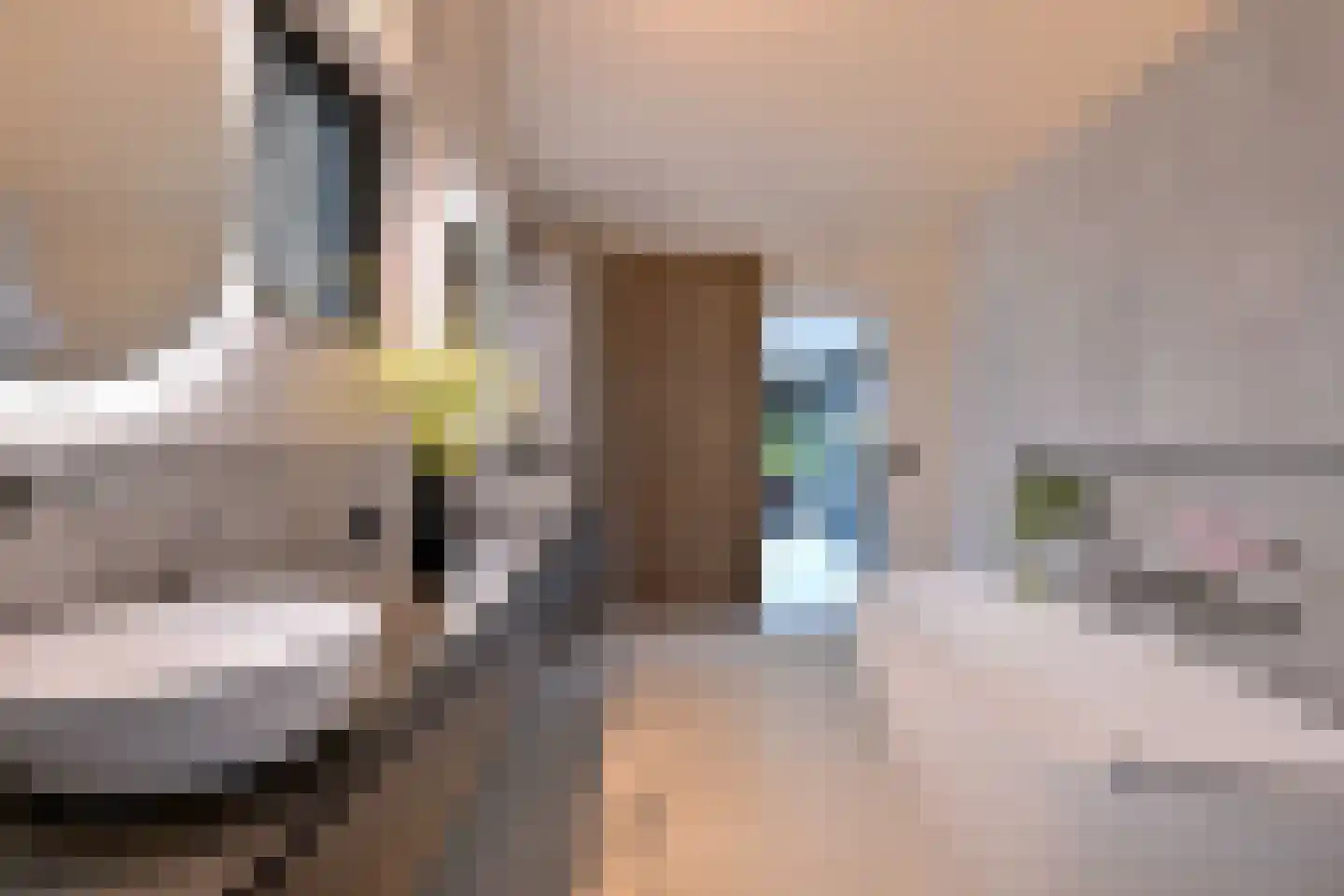 Avergoorsedijk 6 Schalkhaar thumbnail 31