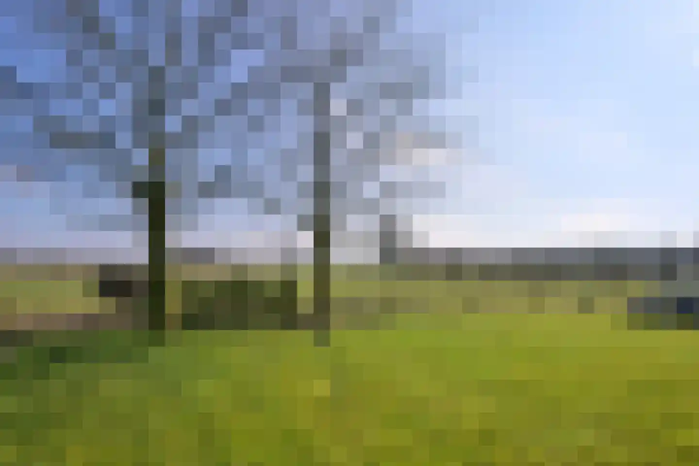 Avergoorsedijk 6 Schalkhaar thumbnail 37