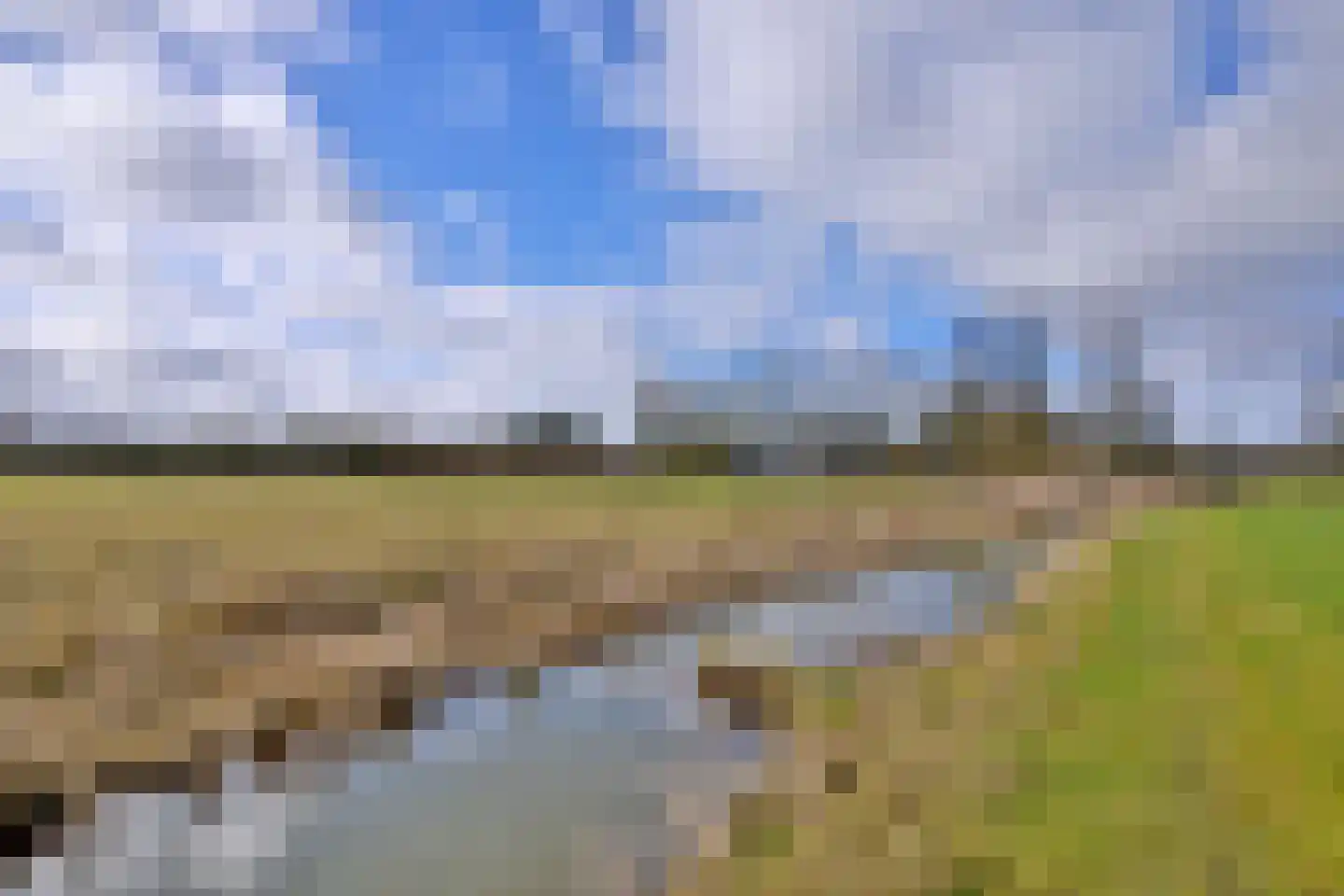 Avergoorsedijk 6 Schalkhaar thumbnail 38