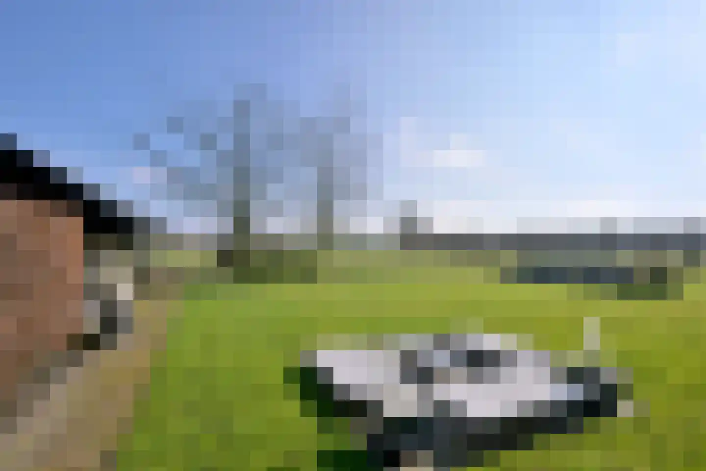 Avergoorsedijk 6 Schalkhaar thumbnail 8
