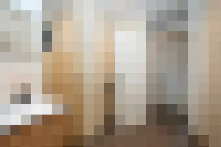 Averinkstraat 17 Delden thumbnail 16