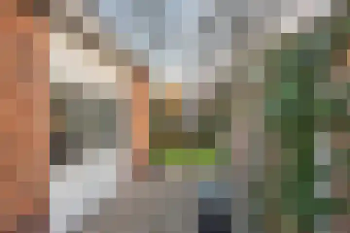 Averinkstraat 17 Delden thumbnail 24