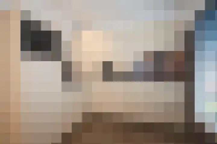 Averinkstraat 17 Delden thumbnail 4