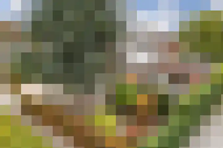Averinkstraat 7 Delden thumbnail 11