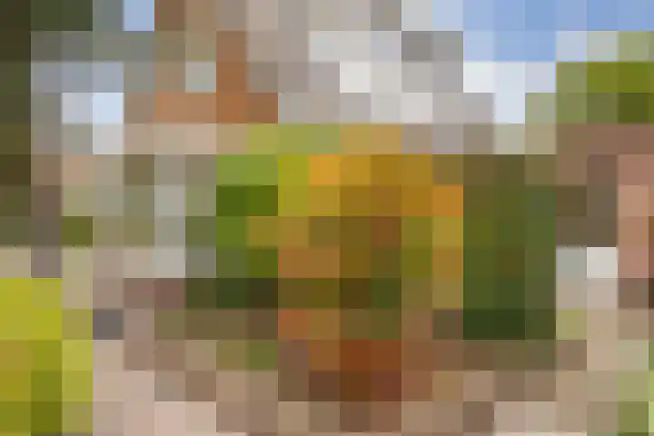 Averinkstraat 7 Delden thumbnail 12