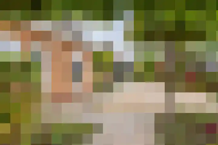 Averinkstraat 7 Delden thumbnail 14
