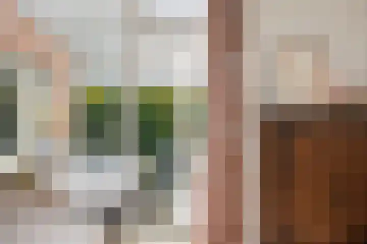 Averinkstraat 7 Delden thumbnail 20